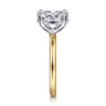 Lark - 14K White Yellow Gold Oval Solitaire Engagement Ring