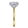 Evelina - 14K White-Yellow Gold Oval Solitaire Diamond Engagement Ring