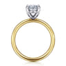 Tiana - 14K Yellow-White Gold Oval Solitaire Diamond Engagement Ring
