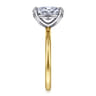Tiana - 14K Yellow-White Gold Oval Solitaire Diamond Engagement Ring