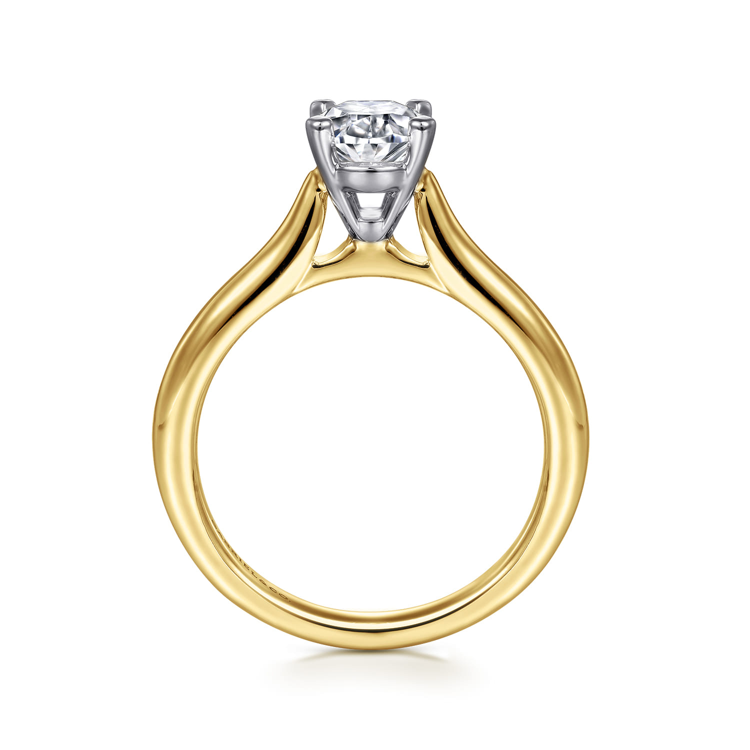Lauren - 14K White-Yellow Gold Oval Diamond Engagement Ring - Shot 2
