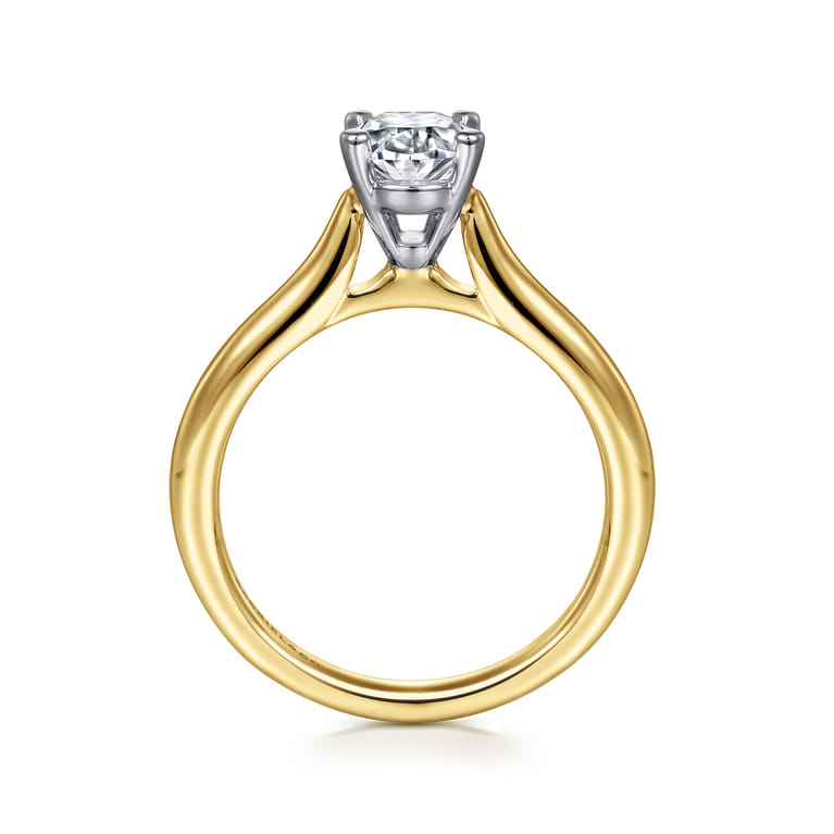 Lauren - 14K White-Yellow Gold Oval Diamond Engagement Ring - Shot 2