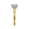 Lauren - 14K White-Yellow Gold Oval Diamond Engagement Ring