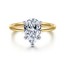 Cari - 14K White-Yellow Gold Pear Shape Diamond Engagement Ring - 0.07 ct