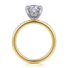 Cari - 14K White-Yellow Gold Pear Shape Diamond Engagement Ring - 0.07 ct