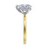 Cari - 14K White-Yellow Gold Pear Shape Diamond Engagement Ring - 0.07 ct