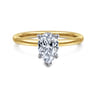 Ady - 14K White-Yellow Gold Hidden Halo Pear Shape Diamond Engagement Ring - 0.04 ct