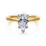 Austria - 14K White-Yellow Gold Pear Shape Diamond Engagement Ring - 0.08 ct