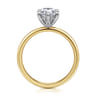 Evelina - 14K White-Yellow Gold Pear Shape Solitaire Diamond Engagement Ring