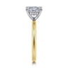 Cari - 14K White-Yellow Gold Princess Diamond Engagement Ring - 0.06 ct
