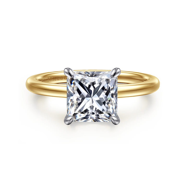 Cari - 14K White-Yellow Gold Princess Cut Diamond Engagement Ring - 0.05 ct - Shot 1