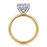 Cari - 14K White-Yellow Gold Princess Cut Diamond Engagement Ring - 0.05 ct