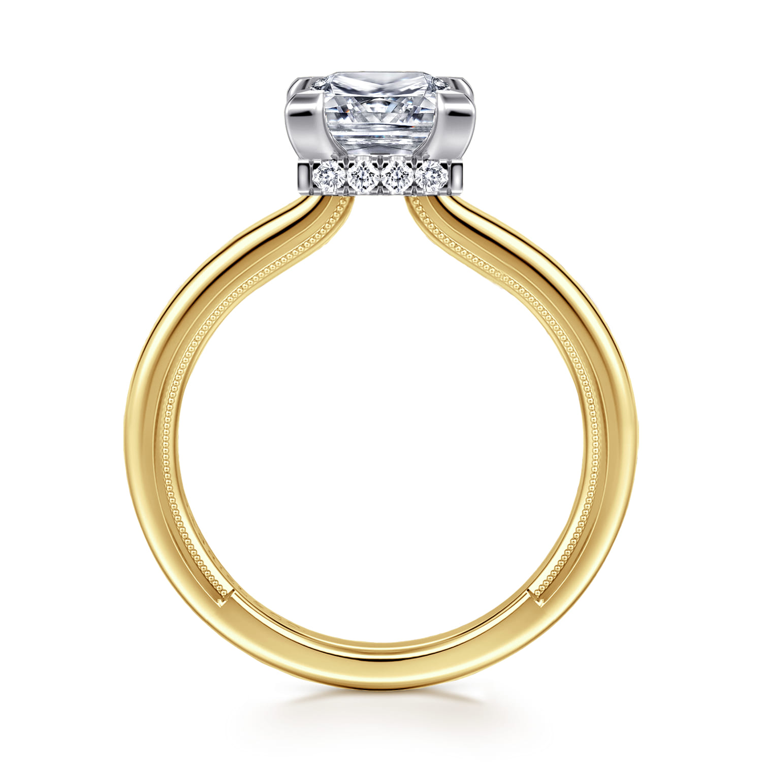 Sandi - 14K White-Yellow Gold East West Princess Cut Diamond Engagement Ring - 0.11 ct - Shot 2