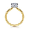 Sandi - 14K White-Yellow Gold East West Princess Cut Diamond Engagement Ring - 0.11 ct