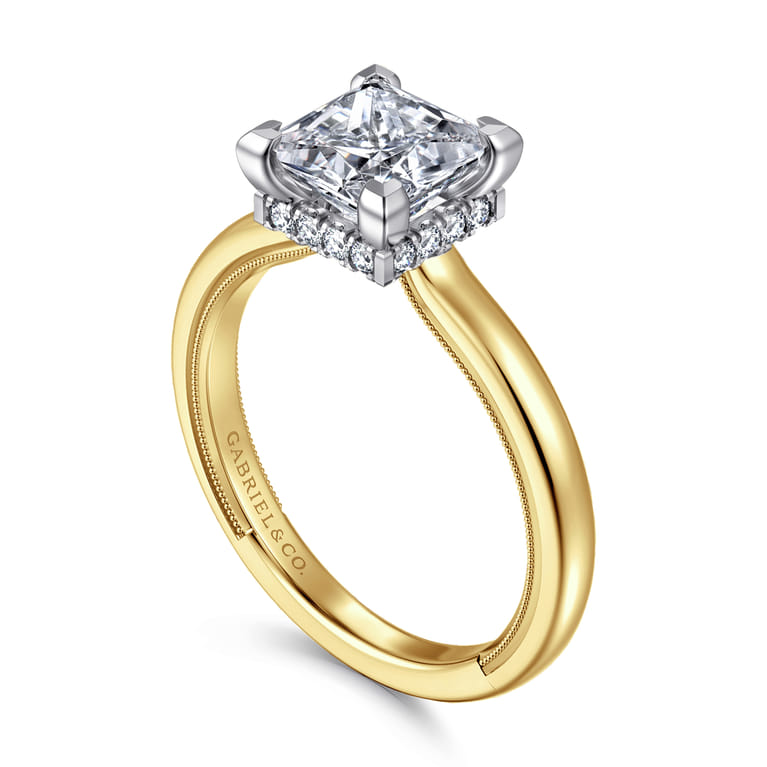 Sandi - 14K White-Yellow Gold East West Princess Cut Diamond Engagement Ring - 0.11 ct - Shot 3