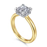 Sandi - 14K White-Yellow Gold East West Princess Cut Diamond Engagement Ring - 0.11 ct