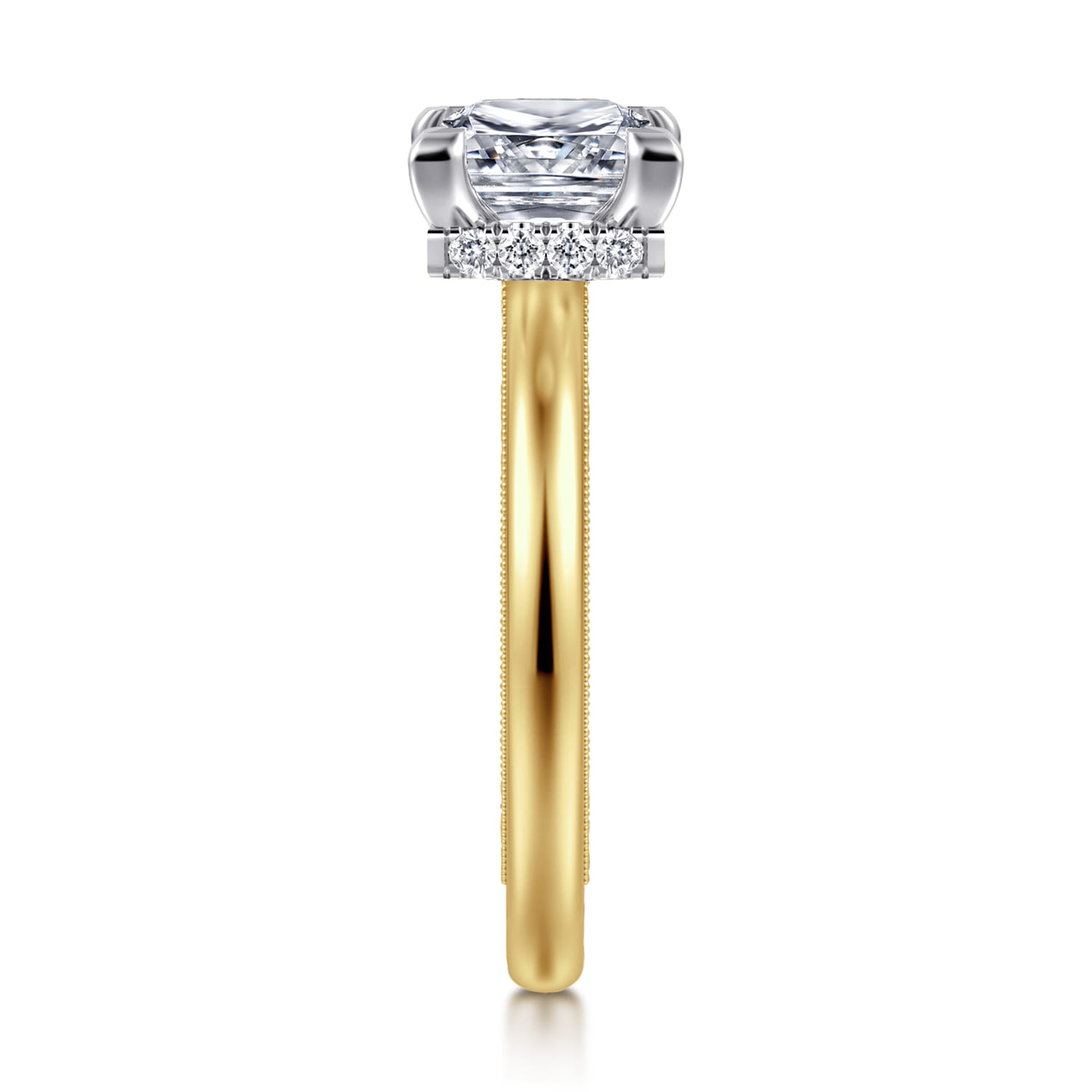 Sandi - 14K White-Yellow Gold East West Princess Cut Diamond Engagement Ring - 0.11 ct - Shot 4