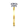 Sandi - 14K White-Yellow Gold East West Princess Cut Diamond Engagement Ring - 0.11 ct