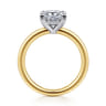 Austria - 14K White-Yellow Gold Princess Cut Diamond Engagement Ring - 0.07 ct