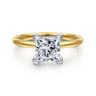 Evelina - 14K White-Yellow Gold Princess Cut Solitaire Diamond Engagement Ring