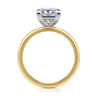 Evelina - 14K White-Yellow Gold Princess Cut Solitaire Diamond Engagement Ring