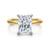 Cari - 14K White-Yellow Gold Radiant Cut Diamond Engagement Ring - 0.09 ct
