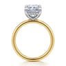 Cari - 14K White-Yellow Gold Radiant Cut Diamond Engagement Ring - 0.09 ct