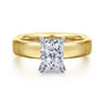 Argentina - 14K White-Yellow Gold Radiant Cut Diamond Engagement Ring - 0.05 ct