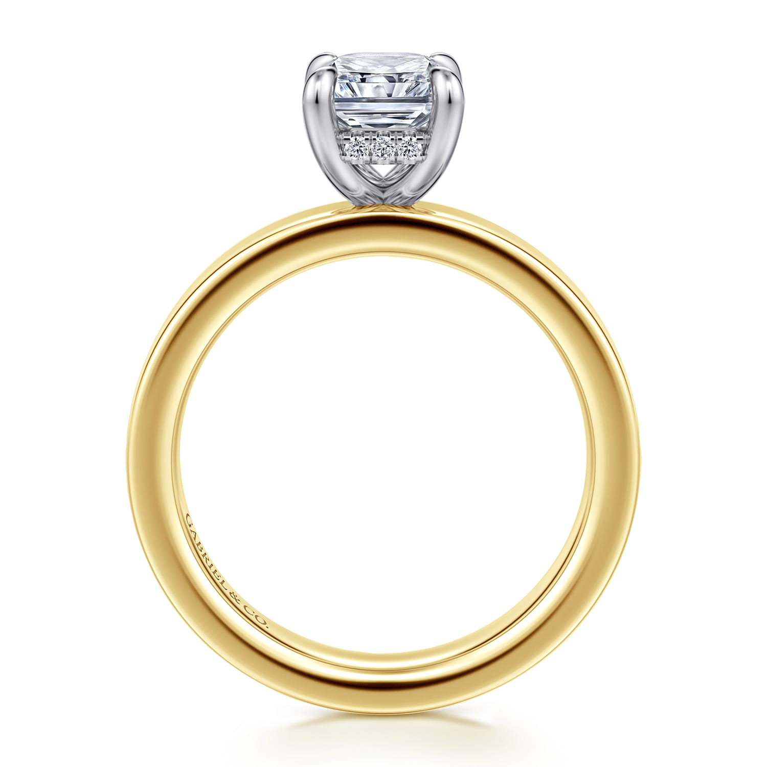 Argentina - 14K White-Yellow Gold Radiant Cut Diamond Engagement Ring - 0.05 ct - Shot 2