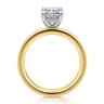 Argentina - 14K White-Yellow Gold Radiant Cut Diamond Engagement Ring - 0.05 ct