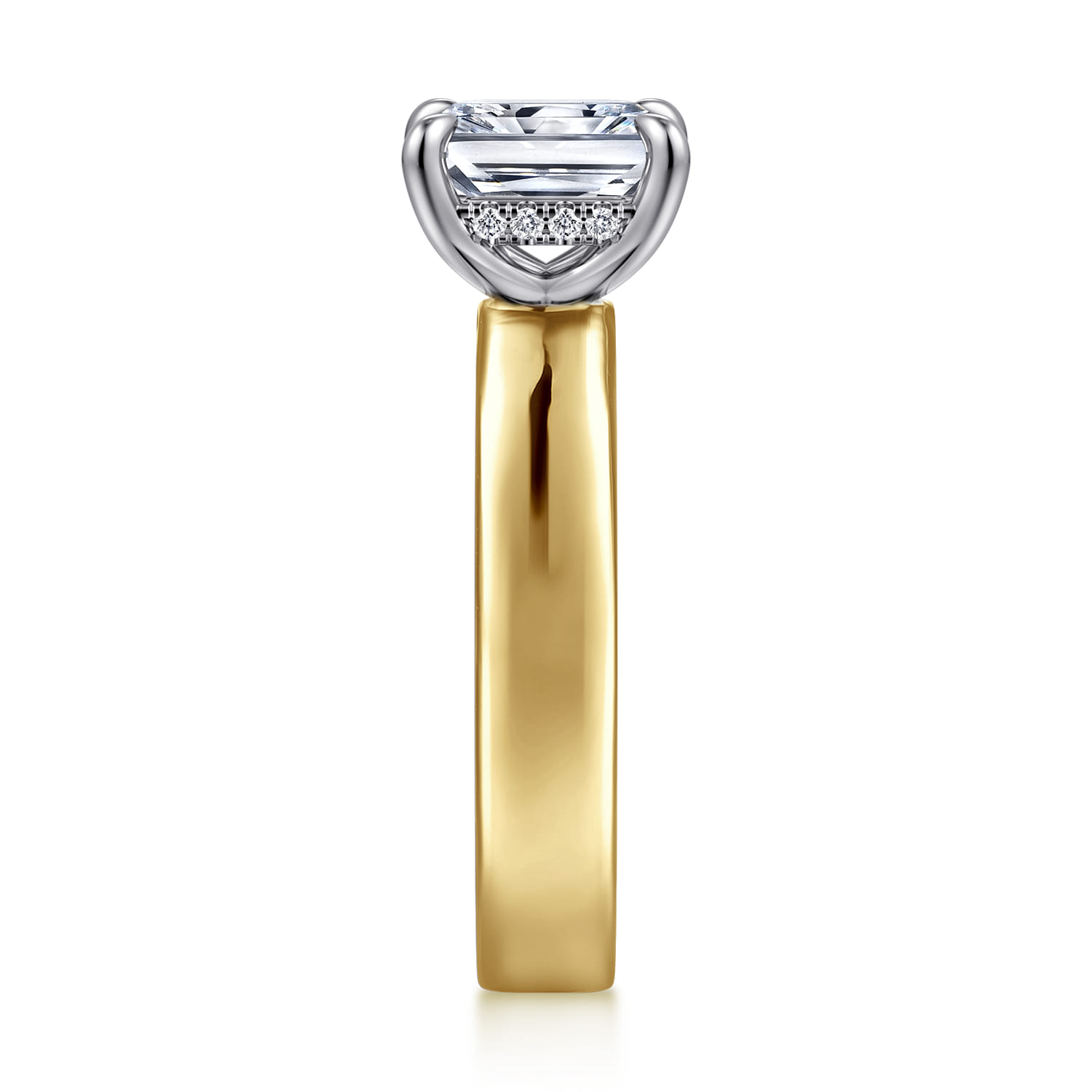 Argentina - 14K White-Yellow Gold Radiant Cut Diamond Engagement Ring - 0.05 ct - Shot 4