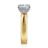 Argentina - 14K White-Yellow Gold Radiant Cut Diamond Engagement Ring - 0.05 ct