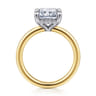 Austria - 14K White-Yellow Gold Radiant Cut Diamond Engagement Ring - 0.11 ct