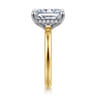 Austria - 14K White-Yellow Gold Radiant Cut Diamond Engagement Ring - 0.11 ct