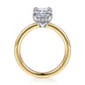 Austria - 14K White-Yellow Gold Radiant Cut Diamond Engagement Ring - 0.08 ct