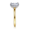 Austria - 14K White-Yellow Gold Radiant Cut Diamond Engagement Ring - 0.08 ct