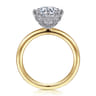 Liona - 14K White-Yellow Gold Round Solitaire Diamond Engagement Ring - 0.05 ct