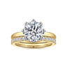 Liona - 14K White-Yellow Gold Round Solitaire Diamond Engagement Ring - 0.05 ct
