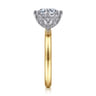 Liona - 14K White-Yellow Gold Round Solitaire Diamond Engagement Ring - 0.05 ct