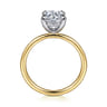 Cari - 14K White-Yellow Gold Round Diamond Engagement Ring - 0.07 ct