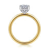 Ady - 14K White-Yellow Gold Hidden Halo Round Diamond Engagement Ring - 0.05 ct