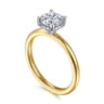 Ady - 14K White-Yellow Gold Hidden Halo Round Diamond Engagement Ring - 0.05 ct