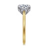 Ericka - 14K White-Yellow Gold Round Diamond Engagement Ring - 0.15 ct