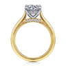 Ericka - 14K White-Yellow Gold Round Diamond Engagement Ring - 0.13 ct