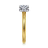 Sandi - 14K White-Yellow Gold Round Diamond Engagement Ring - 0.08 ct
