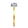 Sandi - 14K White-Yellow Gold Round Diamond Engagement Ring - 0.1 ct