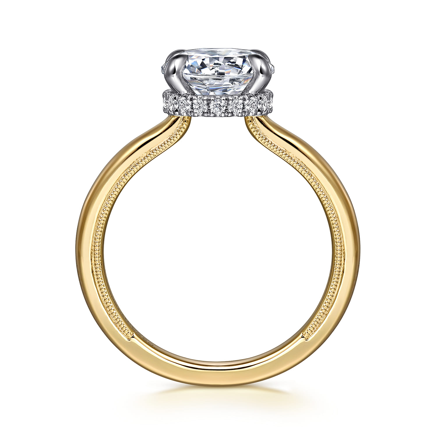 Sandi - 14K White-Yellow Round Diamond Engagement Ring - 0.1 ct - Shot 2