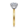 Lua - 14K White-Yellow Gold Hidden Halo Round Diamond Engagement Ring - 0.08 ct