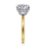 Lua - 14K White-Yellow Gold Hidden Halo Round Diamond Engagement Ring - 0.09 ct