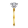 Anuk - 14K Yellow-White Gold Round Diamond Engagement Ring - 0.06 ct